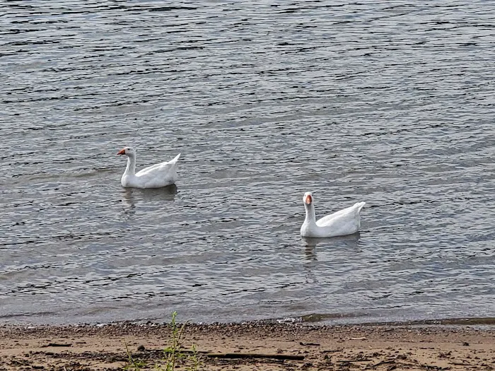 White Oak Creek Marina & Campground 6