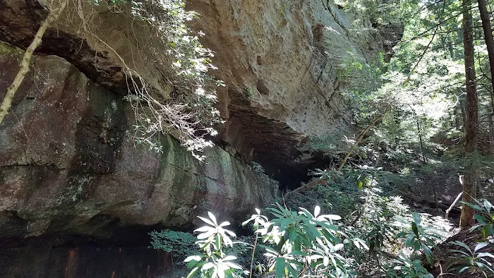 Bear Creek Horse Camp 7