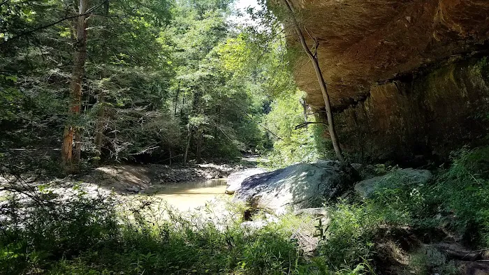 Bear Creek Horse Camp 9