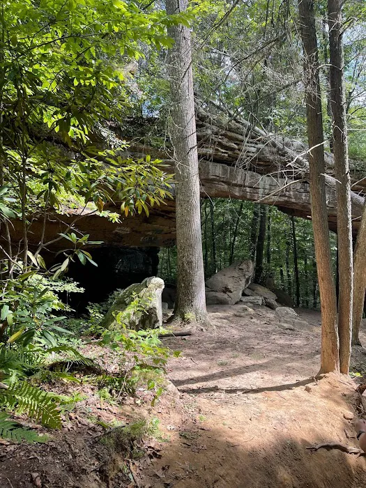 Stinking Creek ATV Campground 9