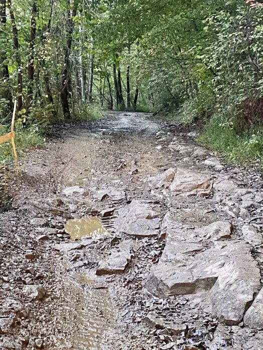 Big Creek ATV Campsite 1