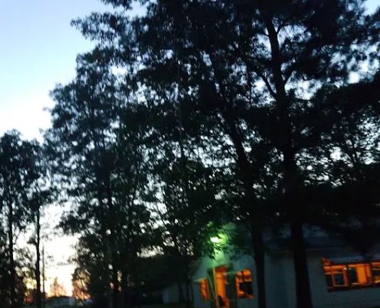 R. G. Finch Memorial Campground