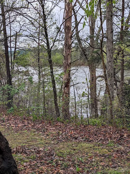 Deam Lake Family Campground 3