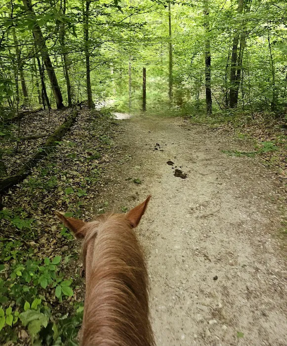 Deam Lake Horse Campground 1