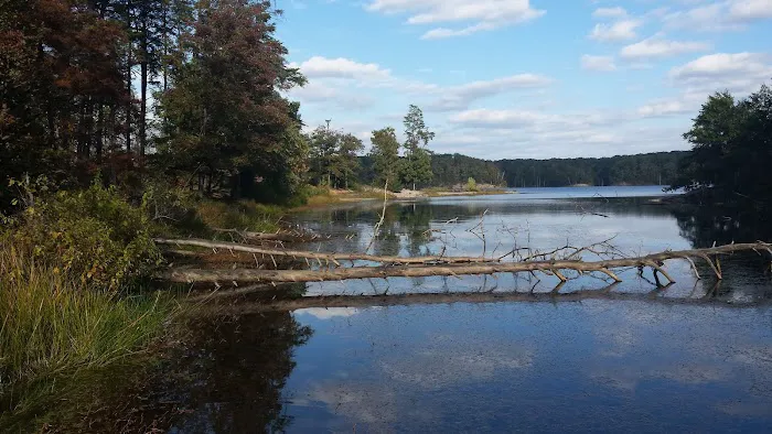 Deam Lake Horse Campground 2