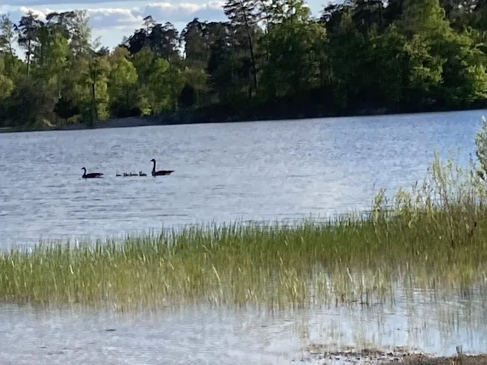 Deam Lake Horse Campground 3