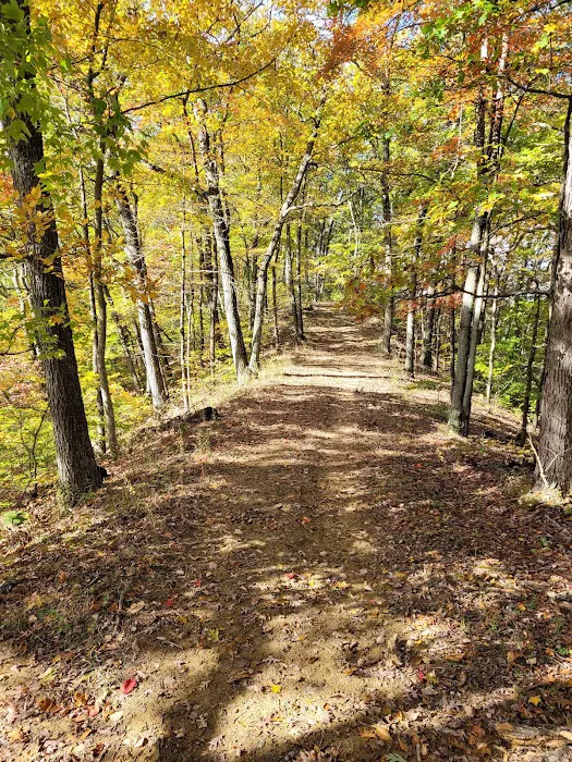 Deam Lake Family Campground 2