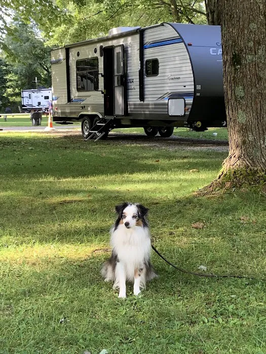 Ashmoor Campground 6