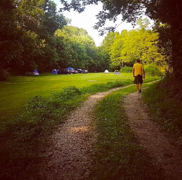 Little Wing Hollow 8