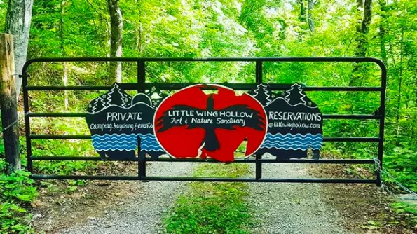 Little Wing Hollow 9