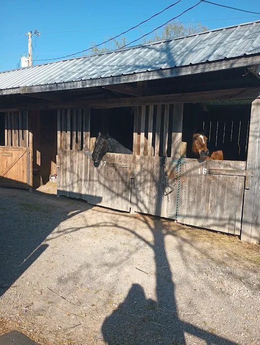 Quiet Woods Green River Stables 3