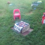 Nolynn Separate Baptist