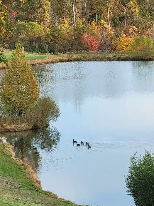 Twin Island Trail LLC 3