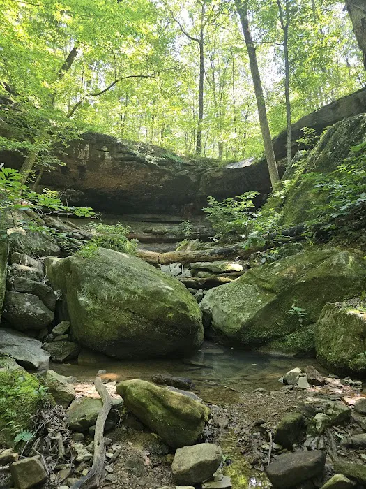 Brier Creek Campground 9