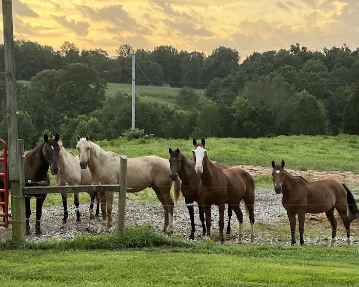 Double J Stables and Campgrounds 1