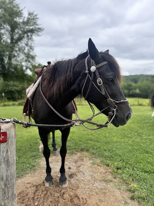 Double J Stables and Campgrounds 3
