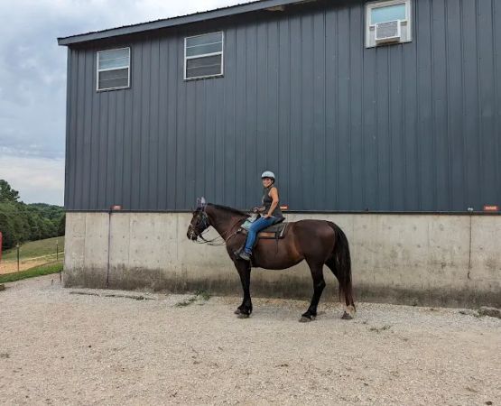 Double J Stables and Campgrounds