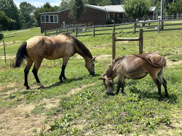 Double J Stables and Campgrounds 7