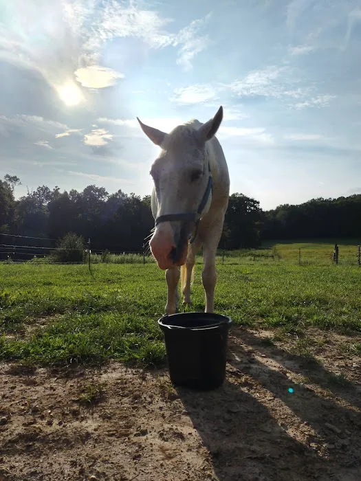 Double J Stables and Campgrounds 4