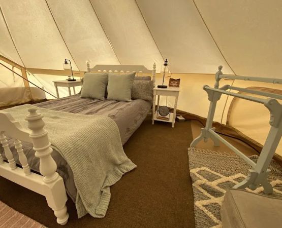 Noble Pine Cabins, Glamping, & Horse Camp