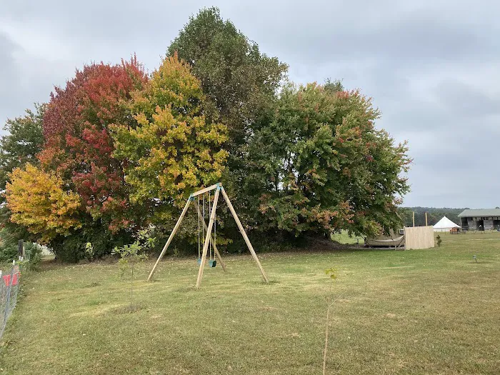 Noble Pine Cabins, Glamping, & Horse Camp 4