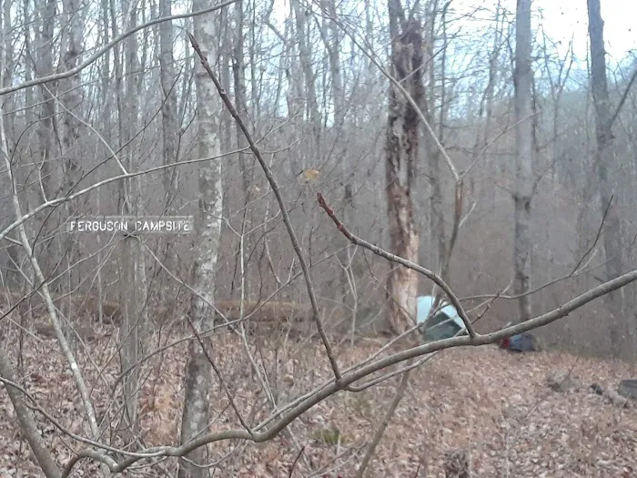 Ferguson Campground 0