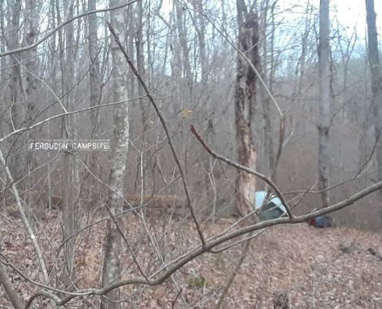 Ferguson Campground