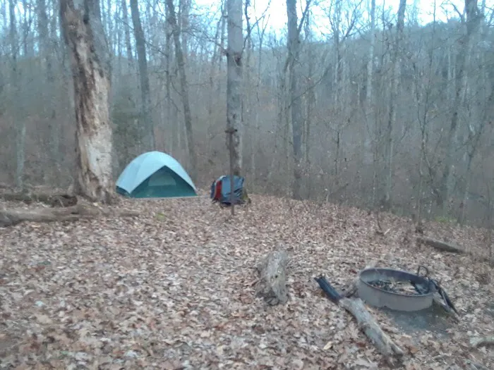 Ferguson Campground 1