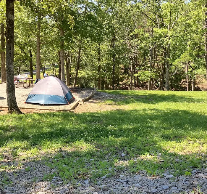 Moutardier Campground 8