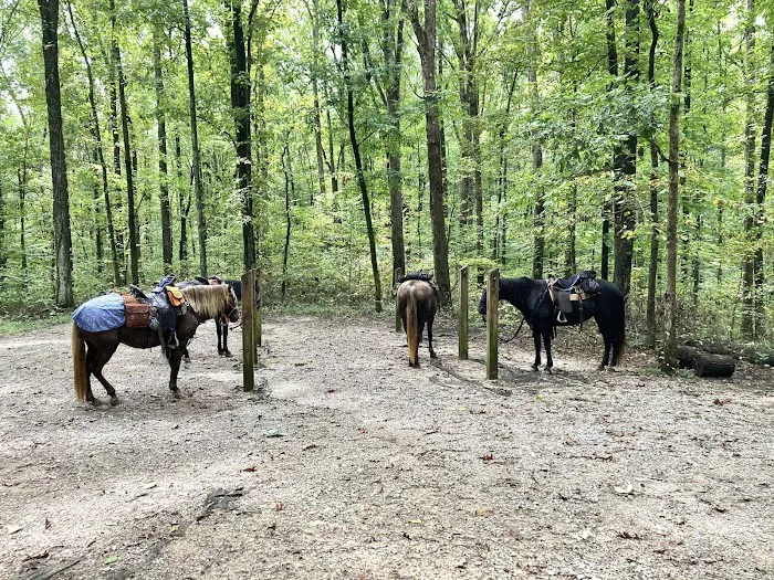 Mammoth Cave Horse Camp 1