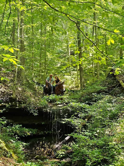 Mammoth Cave Horse Camp 6