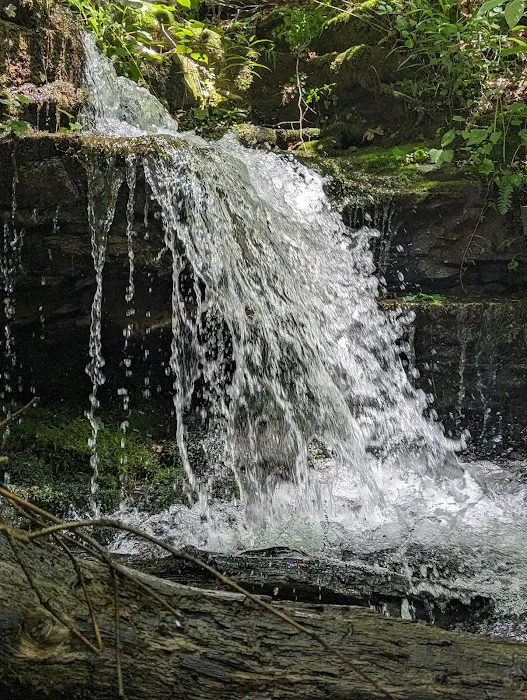 Collie Ridge Campground 2