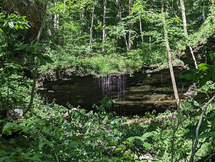 Collie Ridge Campground 6