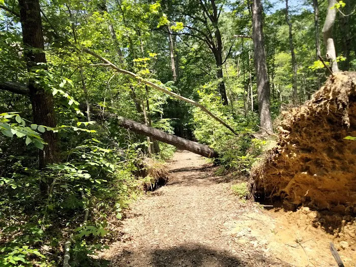 Bluffs Campground 2