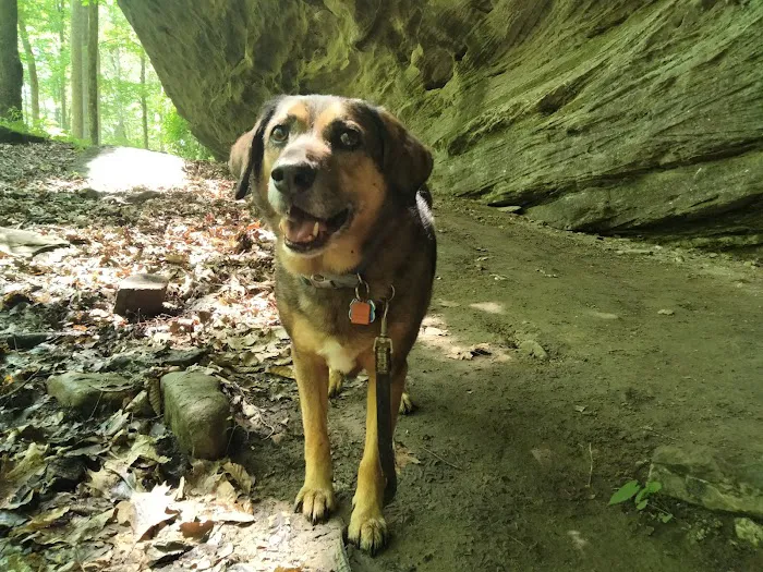 Bluffs Campground 5
