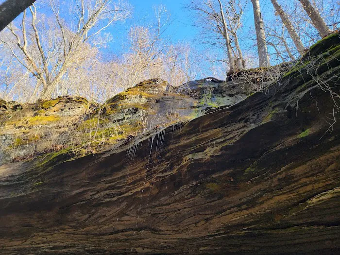 Bluffs Campground 4