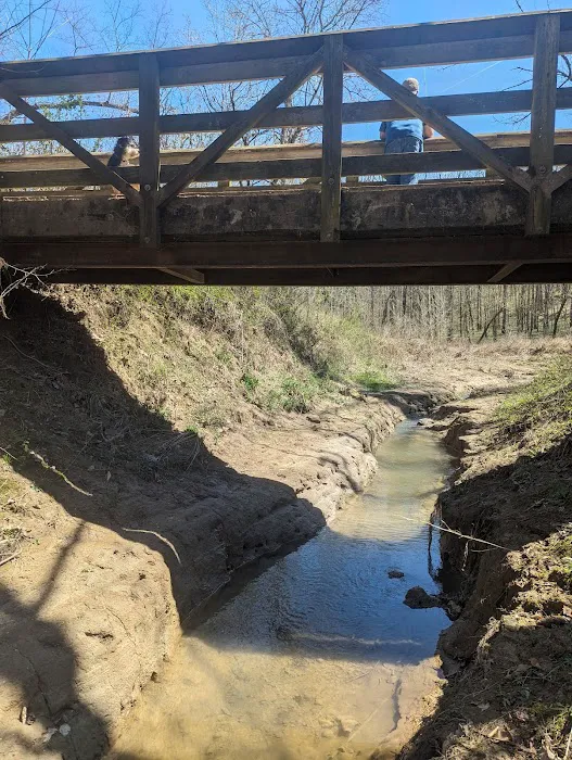 First Creek 1 Campground 2