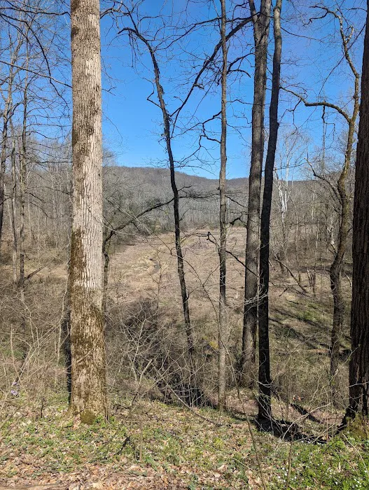 First Creek 1 Campground 5