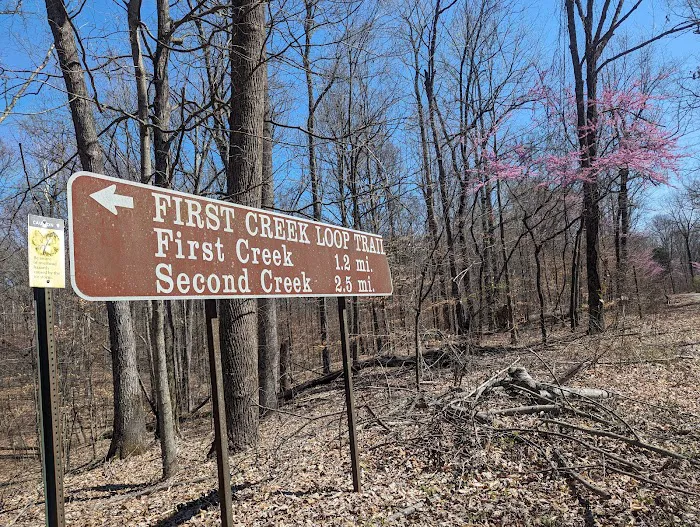 First Creek 1 Campground 8