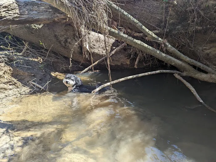 First Creek 1 Campground 9