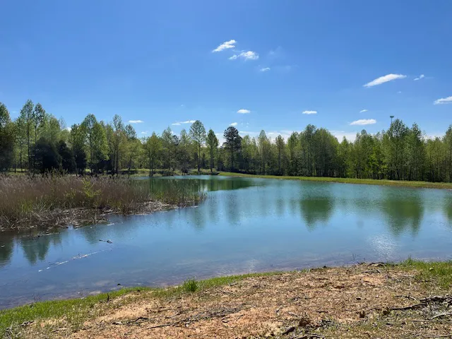 Huggins Haven RV Campground 6