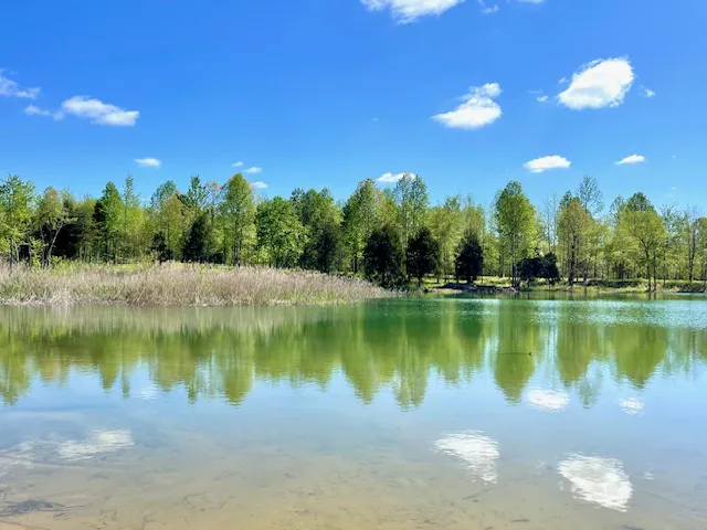 Huggins Haven RV Campground 5