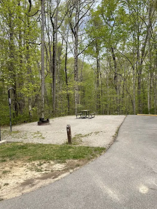 Bandy Creek Group Campground 0