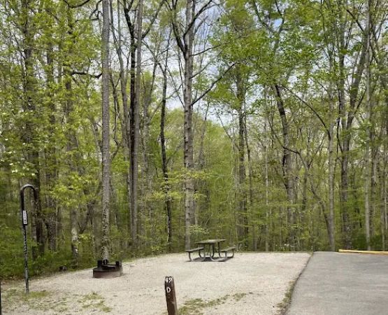 Bandy Creek Group Campground