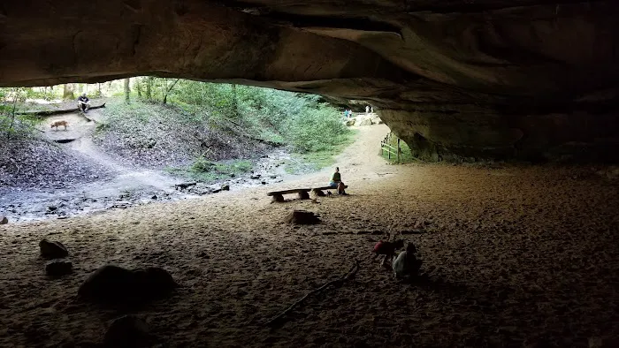 Bandy Creek Group Campground 1