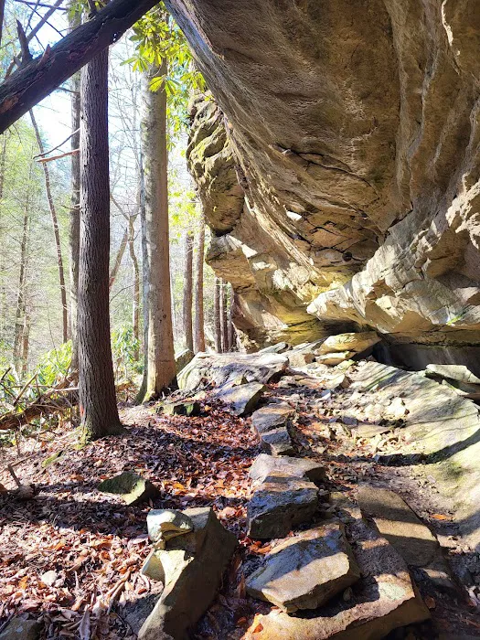 Bandy Creek Group Campground 4