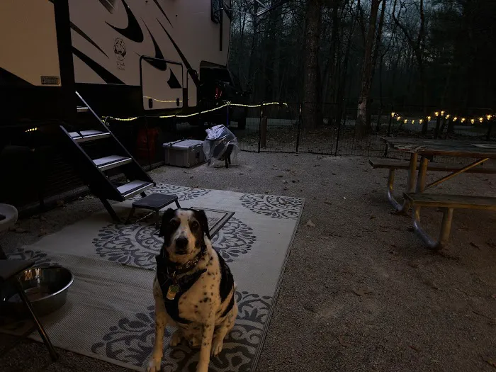 Bandy Creek Group Campground 9