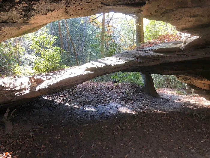 Big Fork Campground 5
