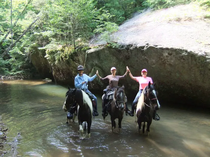 Big Fork Campground 8