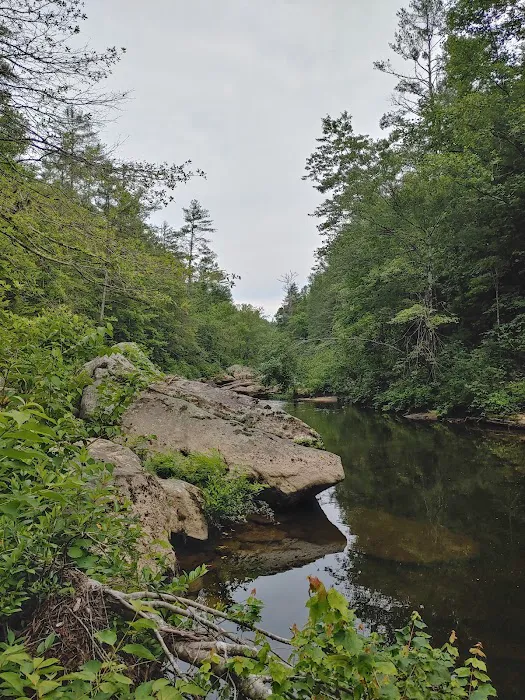 Peters Bridge 4